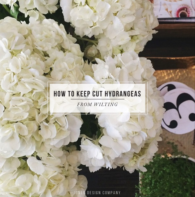 how-to-keep-cut-hydrangeas-from-wilting